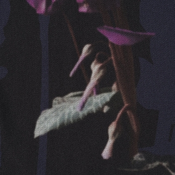 CYCLAMEN PRINT NETTING　パンツ 詳細画像