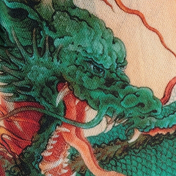 FIVE ELEMENTS DRAGON PRINT NET　ドレス 詳細画像