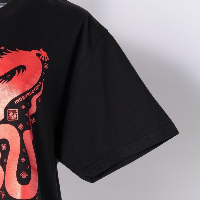 GLAPHIC DRAGON＆SNAKE TEE 詳細画像 ブラック 5